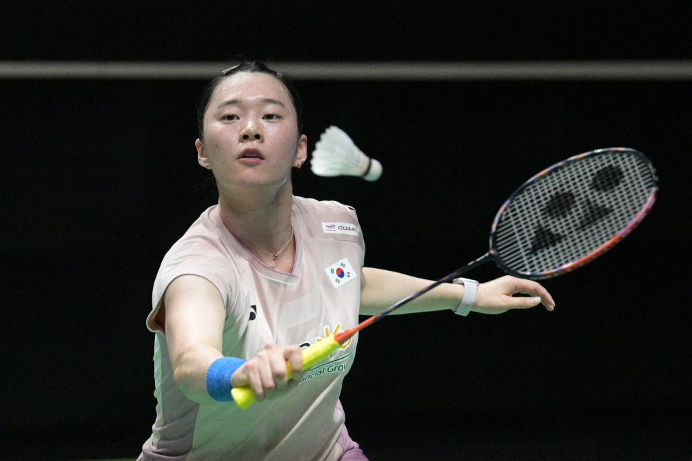 能获得总冠 能获得总冠